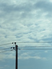 D09C6F71-972F-4D18-BB1E-77023FD0035C/L0/001