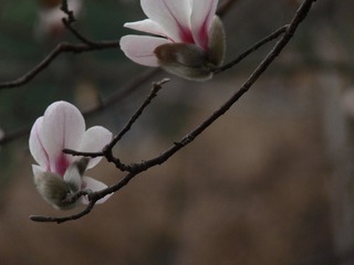 106029