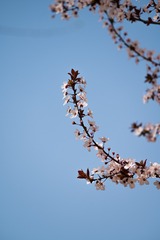 2DD7976C-7EC0-45A7-89FA-A6D6FB76CCBC/L0/001