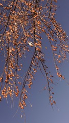 23F45E5C-9B98-4219-A645-CF870377E343/L0/001