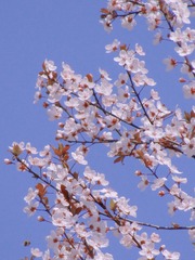 7D574F31-4B17-435A-AEA8-374F750B9E1A/L0/001