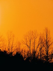 00C29025-13CA-4CEB-AE4A-0C29D6E4B6F7/L0/001