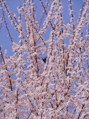 F828E8A7-0DD0-4229-8FA4-A331B70094C3/L0/001