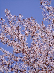 842CD639-C567-4535-9E69-3581C552253F/L0/001