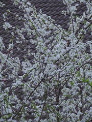 758434B7-4C2C-4AA9-9939-9066A5AFA388/L0/001