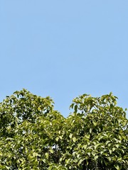 232B3EB0-50AB-4A1A-AFCA-1A7A234C7BE5/L0/001