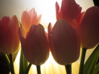 3548F198-976E-425C-9CA6-E497280218A7/L0/001