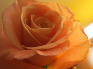 C5D83979-D69B-4B3B-AA78-AD1F08F20B01/L0/001
