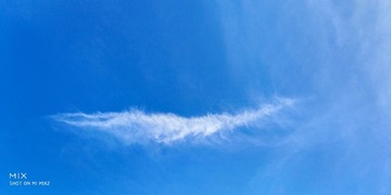 1000037361