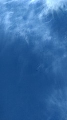 1000037363