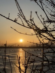 E3D9FF31-562D-46AA-8153-E044C2743AB1/L0/001