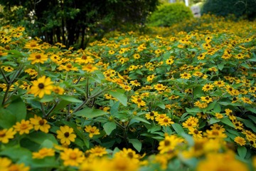 200813
