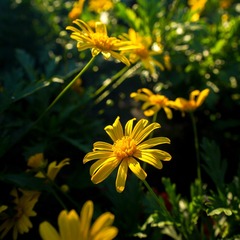 200821