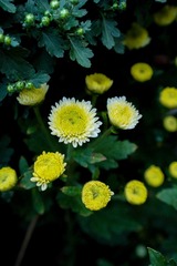 200810