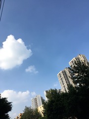1F3CA2AD-047C-4BB7-B40B-7CF6F89D3E58/L0/001