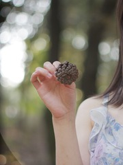 6E496427-30E8-4950-9A2B-D902C7208504/L0/001