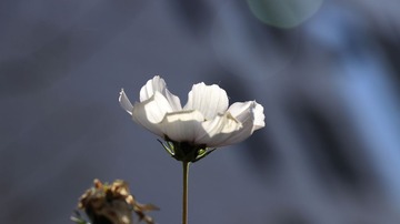 74847