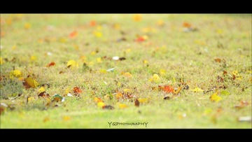 DSC_0048.jpg