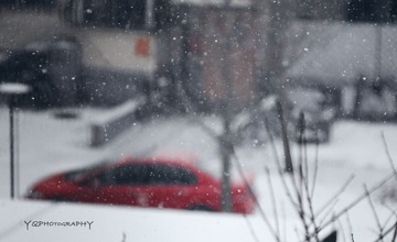 DSC_0055.jpg