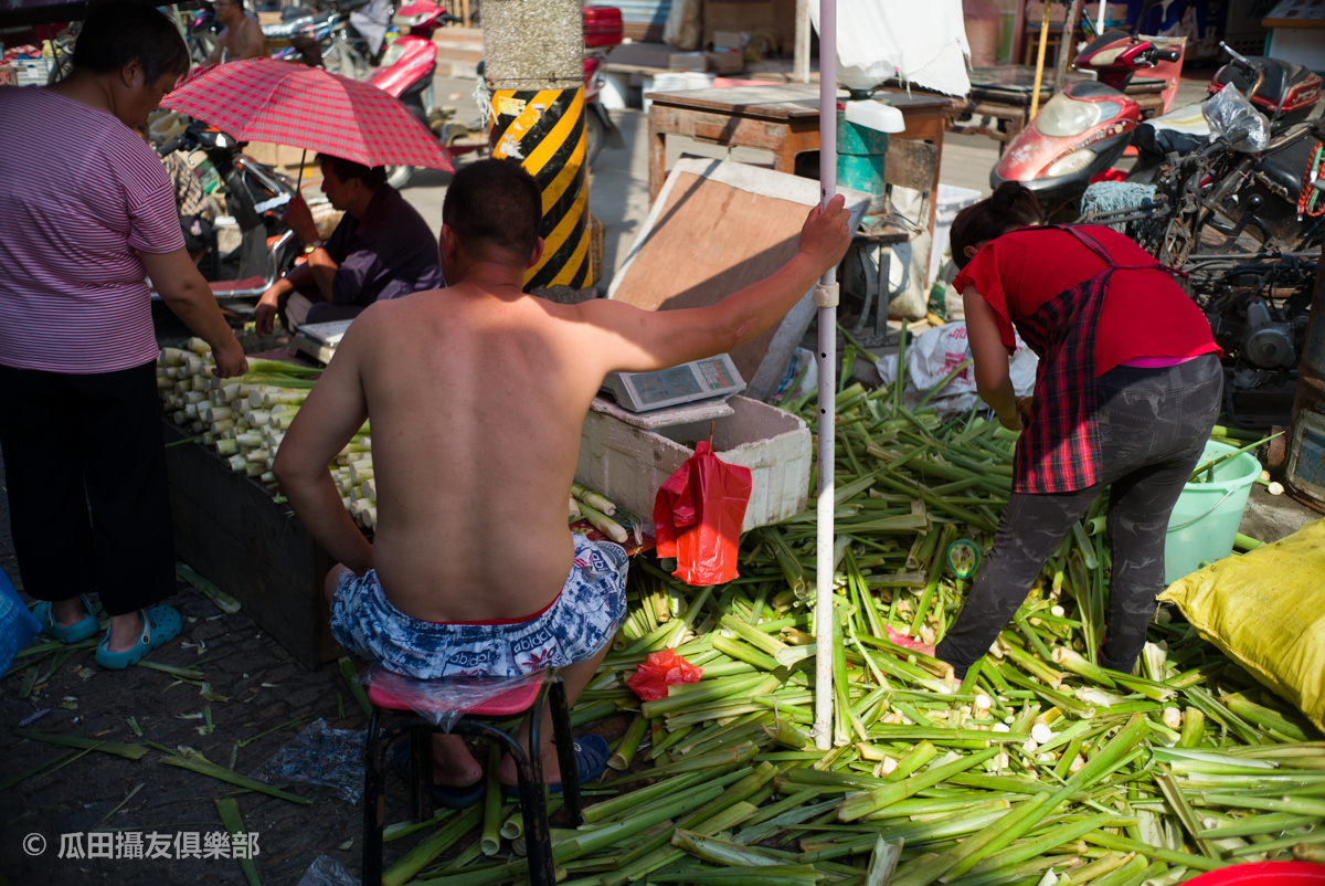 0 七枚玉(11310) 记录