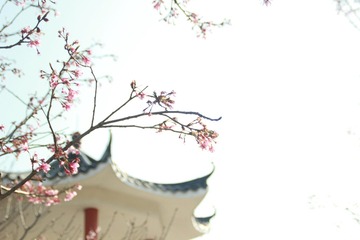 82B289A7-28FD-4D45-BB6B-6F04AD1A7ABF/L0/001