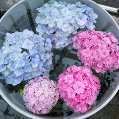 9CB96DB9-F0FC-487F-B8B8-F8472C475FEE/L0/001
