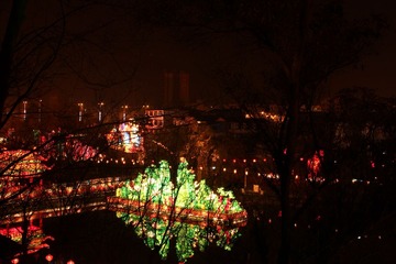 IMG_2382.JPG