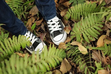 IMG_3151.jpg