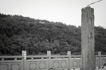 IMG_5508.jpg