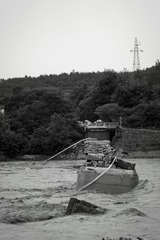 IMG_5477.jpg