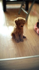 P7240027_副本.jpg
