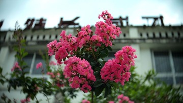P7270098.jpg