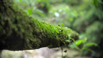 P8100414.JPG