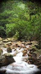 P8100420.JPG