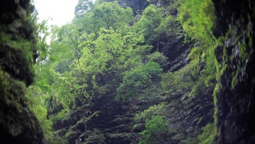 P8100450.JPG