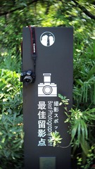 P8180539gg.jpg