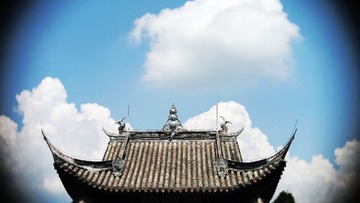 P8180557g.jpg