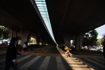 317532