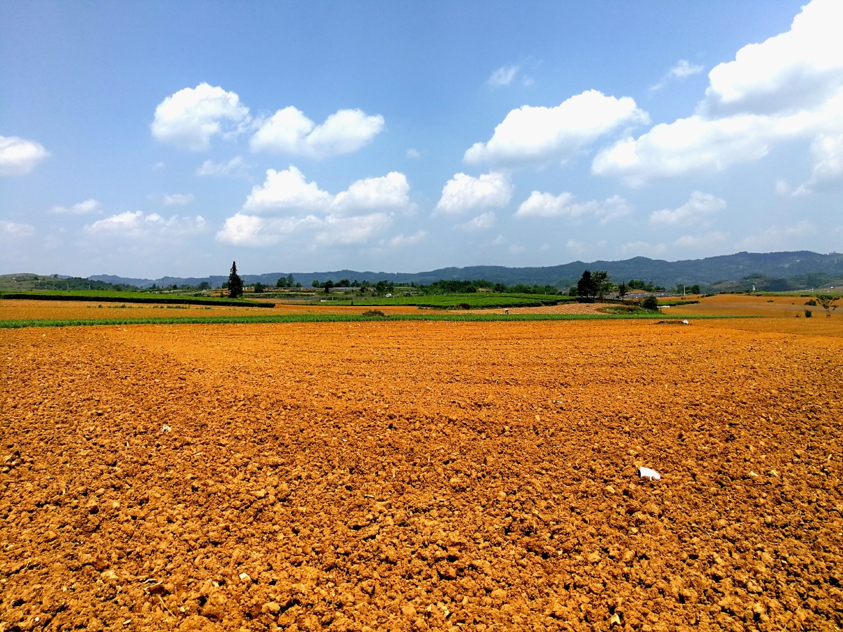 时隔多年重回我土生土长的地方眼前这片黄土地便是我心中的乡愁