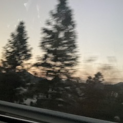 8F005C51-BF03-487B-B85C-D2E19B0D7E5C/L0/001