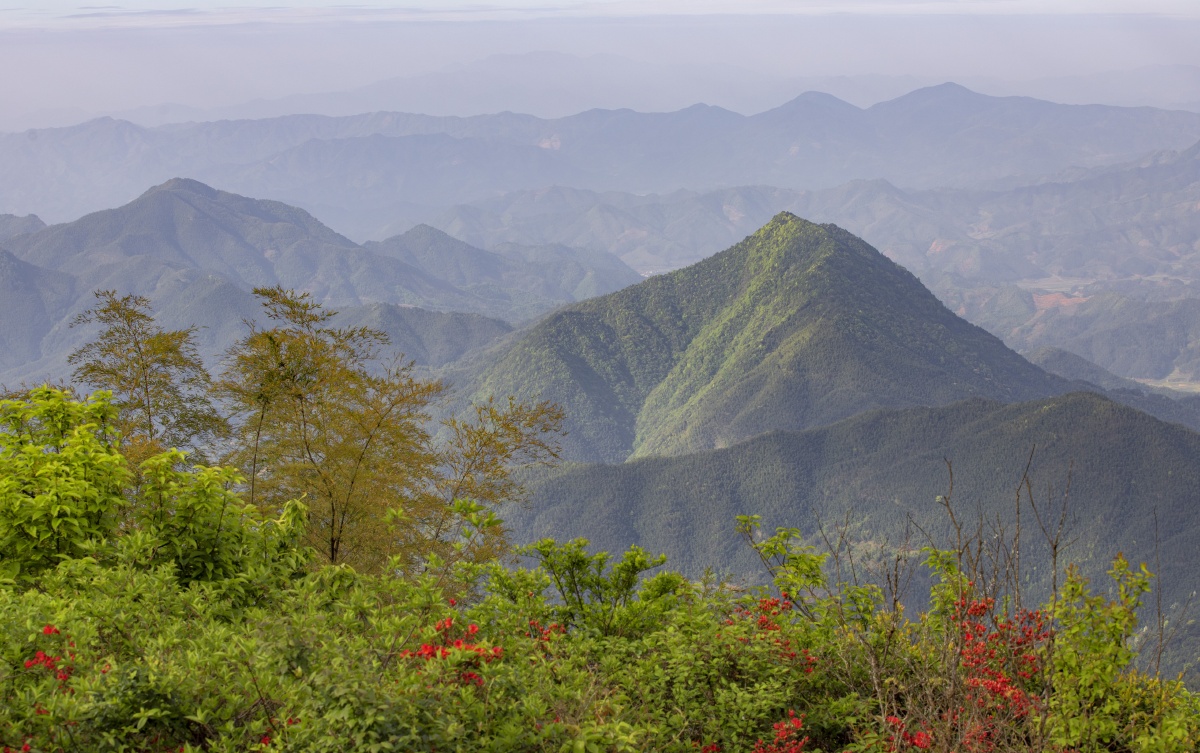 千峰叠翠层林尽染