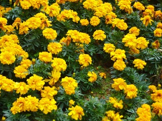 45E55C7B-2FDF-4B1C-86BF-FF6CA1B29DB1/L0/001