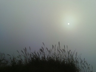 The sun is against the thick fog