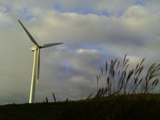 windmill seen again