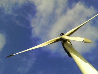 huge wings