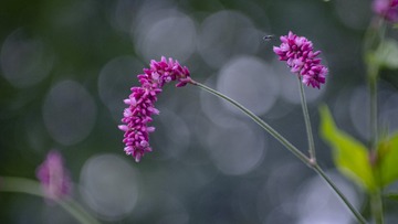 843EF228-9163-4F30-A247-520B7F69C2AC/L0/001
