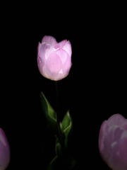8585B8A8-28E2-421F-952B-2161328EBE71/L0/001