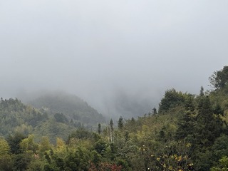 E98C7C2E-5EFA-4892-A0F3-6ABBBD2C8357/L0/001
