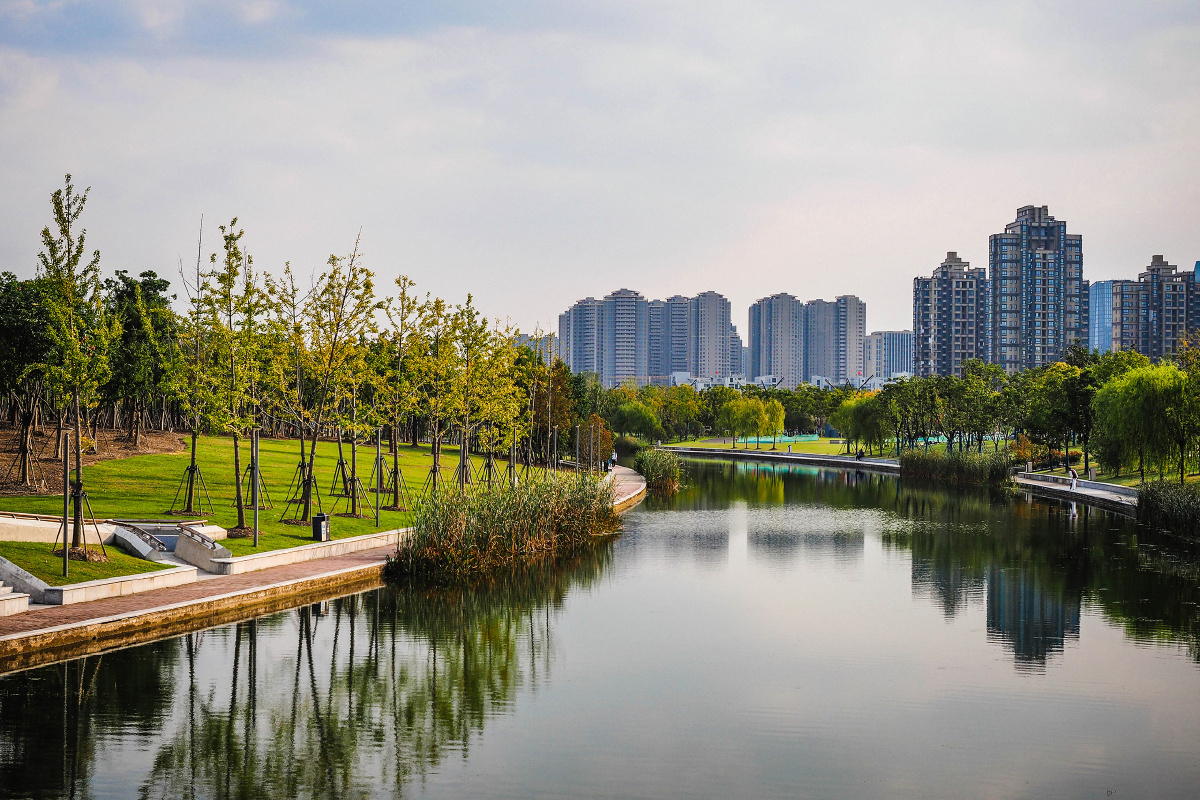 奉贤年丰公园(上海之鱼)和九棵树未来艺术中心