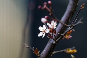 DSC03353